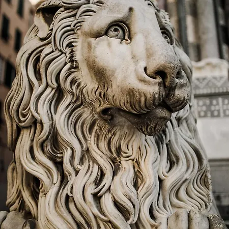 Splendido Nel Cuore Di * Genoa